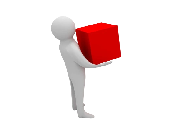 Migration Specialist