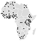 Africon GmbH