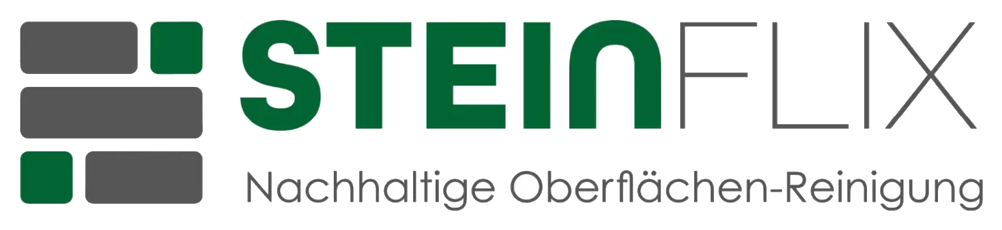 SteinFlix
