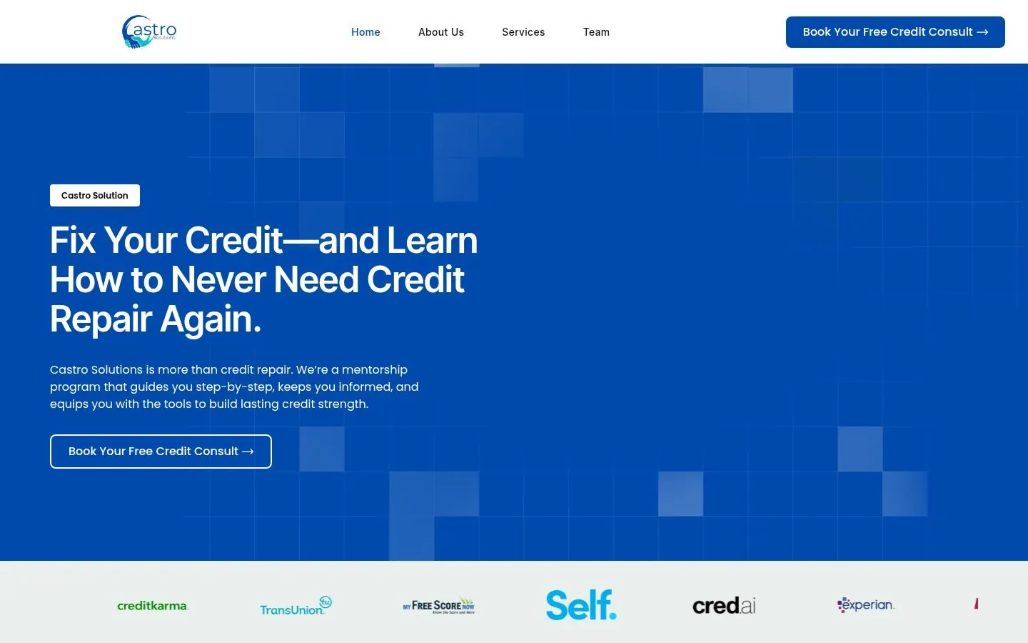 Castro Solution – Web Design by Metanow