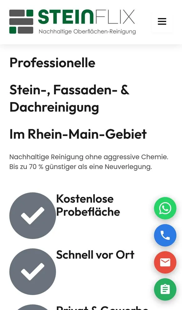 SteinFlix Website Redesign project by Metanow – image 2