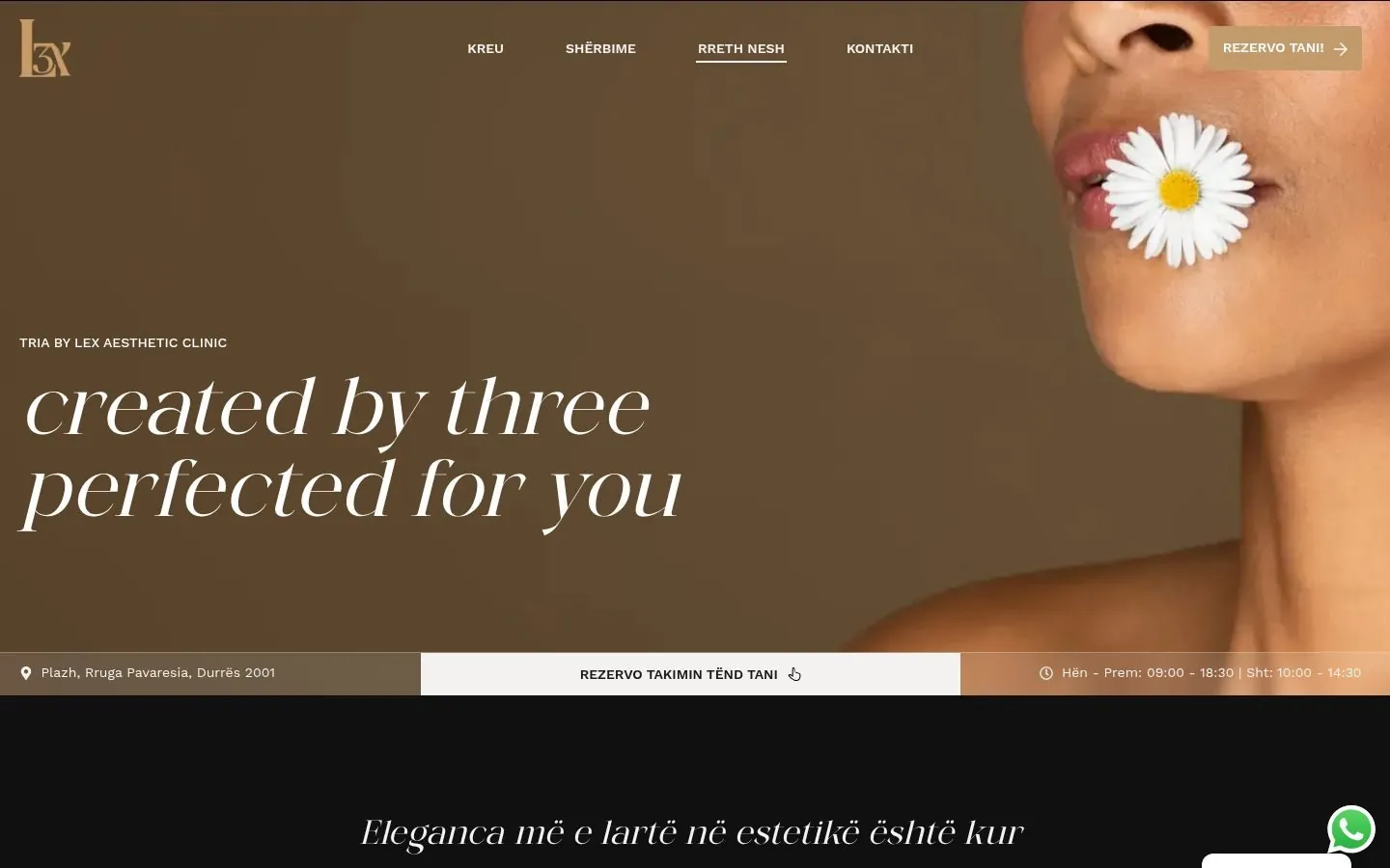 Tria by Lex Web Design project by Metanow – image 4