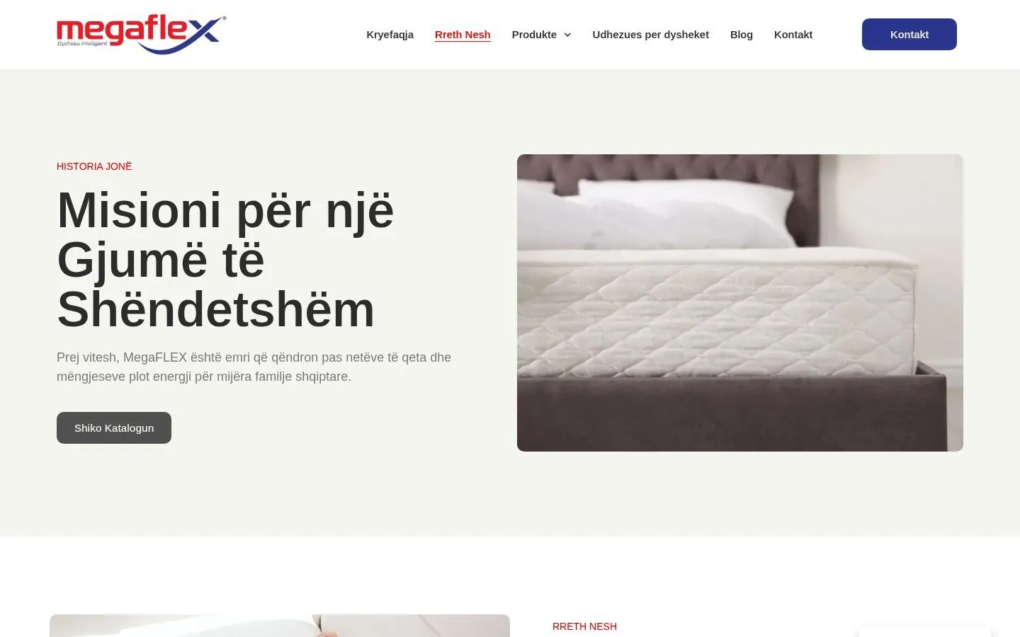 Megaflex Web Design project by Metanow – image 3
