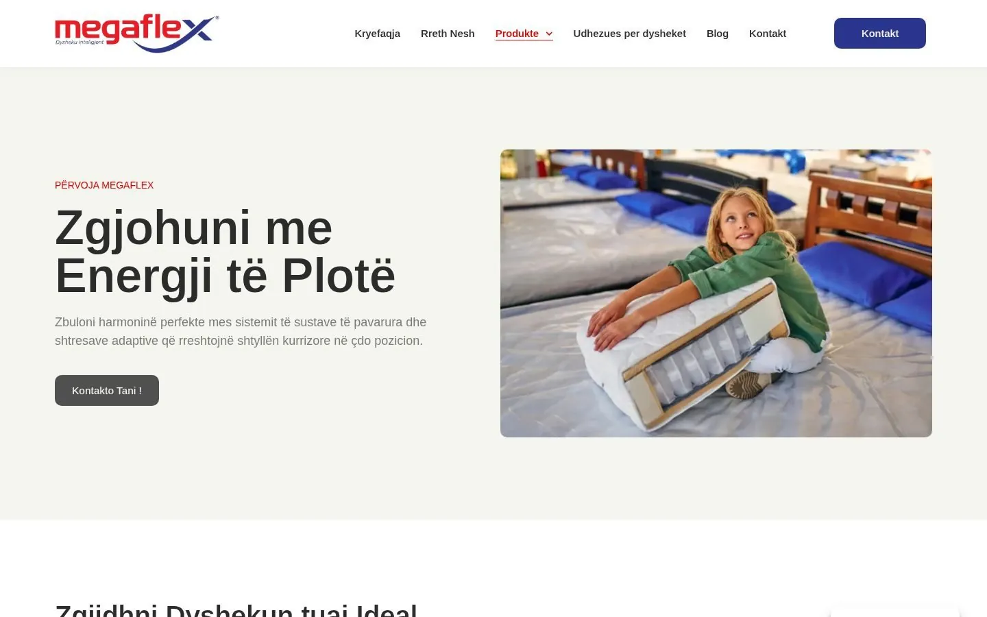 Megaflex Web Design project by Metanow – image 4