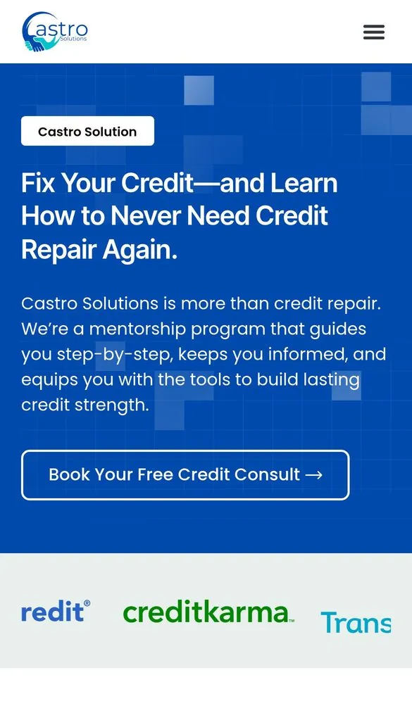 Castro Solution Web Design project by Metanow – image 2
